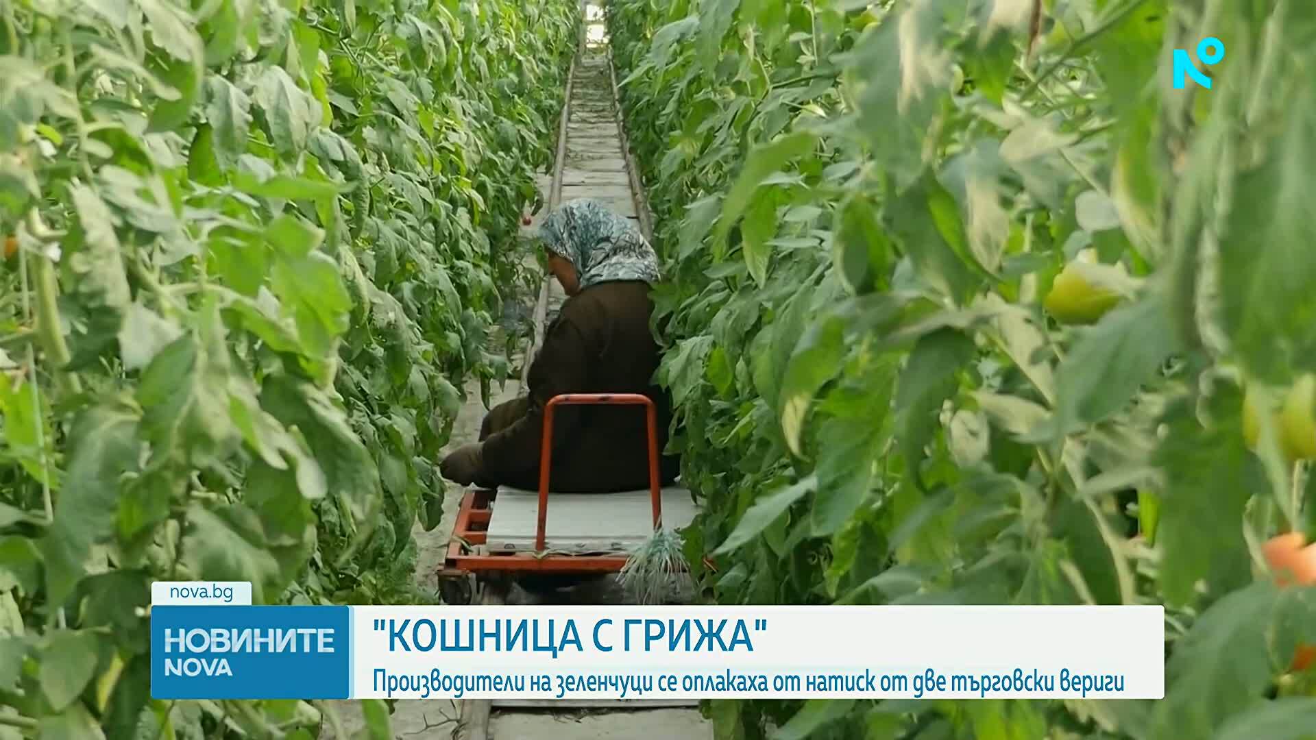 Зеленчукопроизводители отиват на среща в Министерството на земеделието