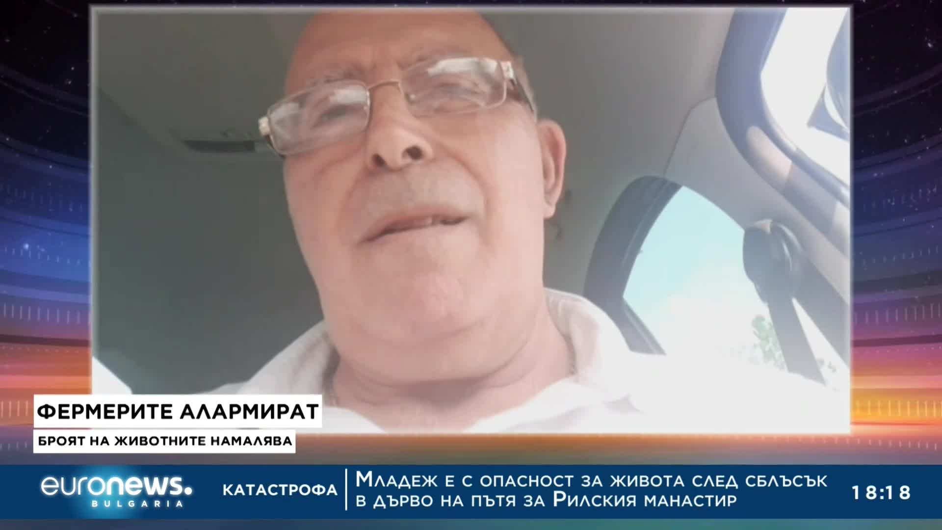 Животновъди: Губим по 30 стотинки на всеки литър мляко