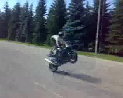 В Памет На Венци /Вената/