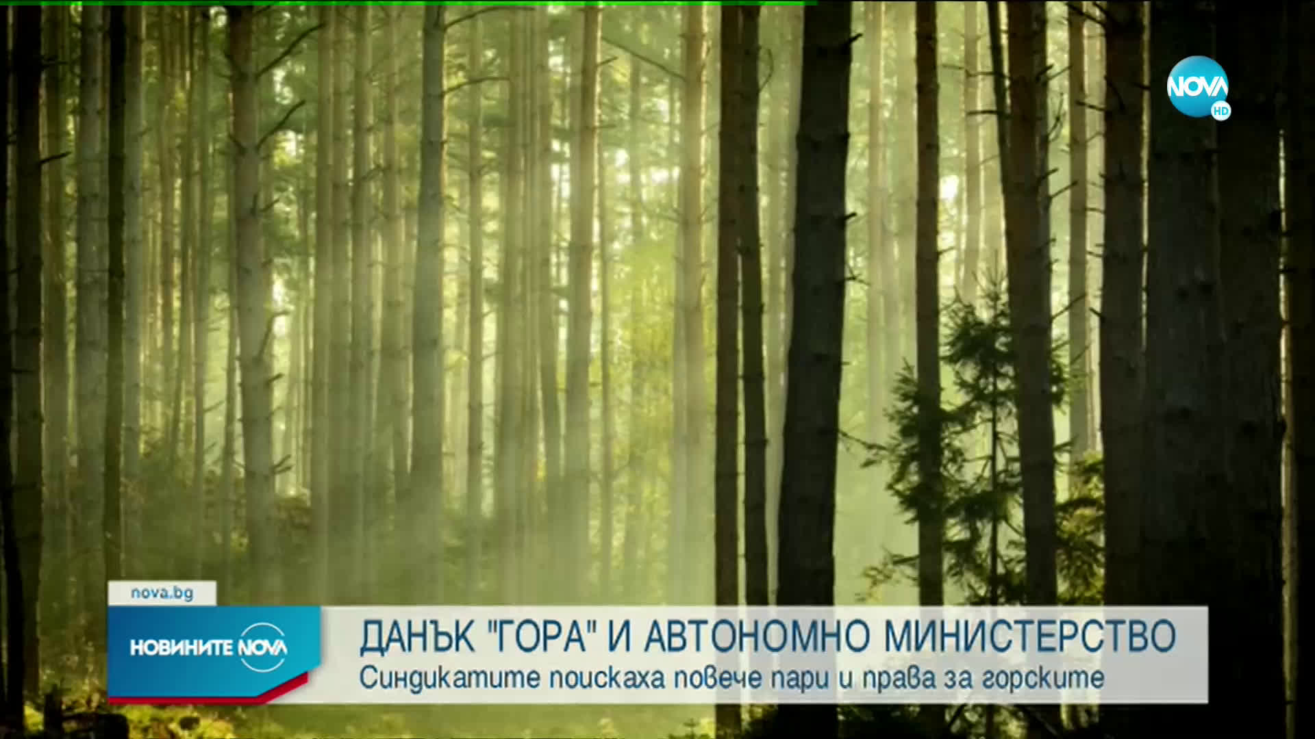 Синдикатите поискаха повече пари и права за горските служители
