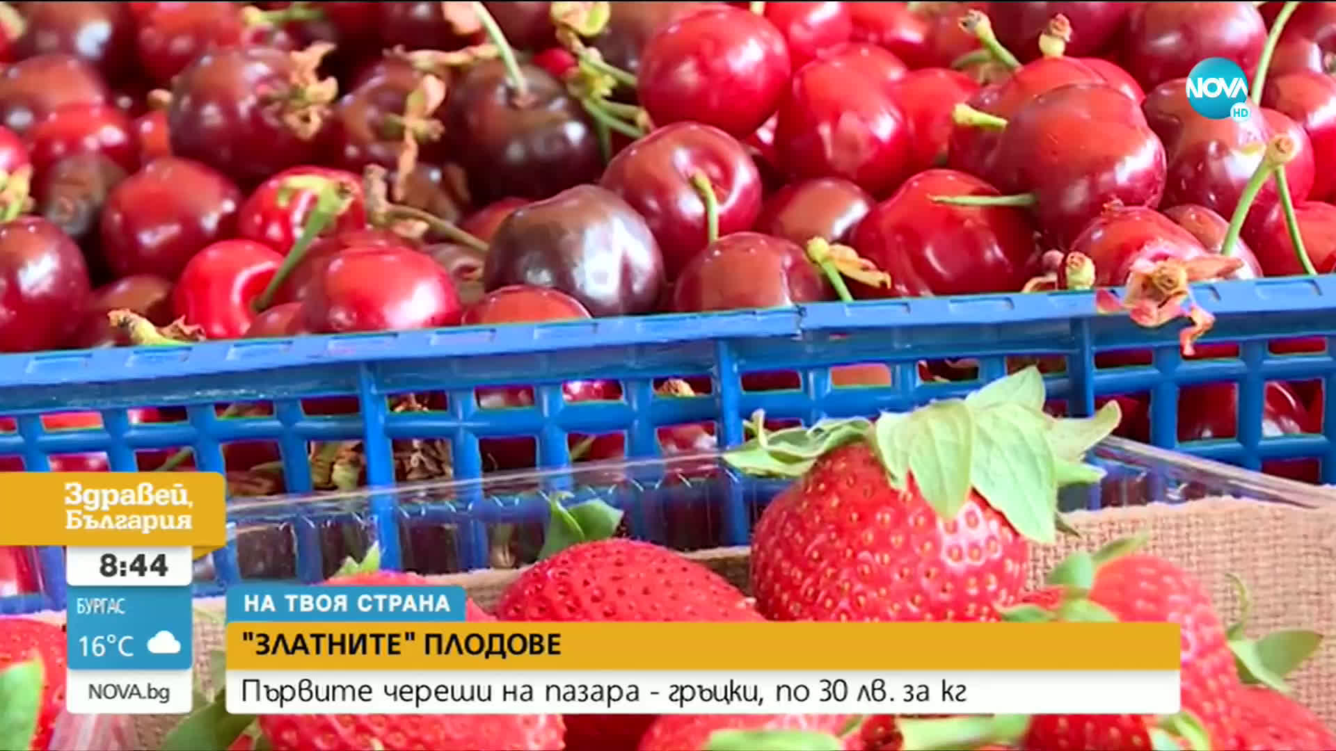 „НА ТВОЯ СТРАНА”: Първите череши на пазара - гръцки, по 30 лв. за кг