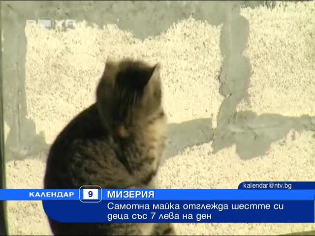 7 души живеят със 7лв. на ден общо 