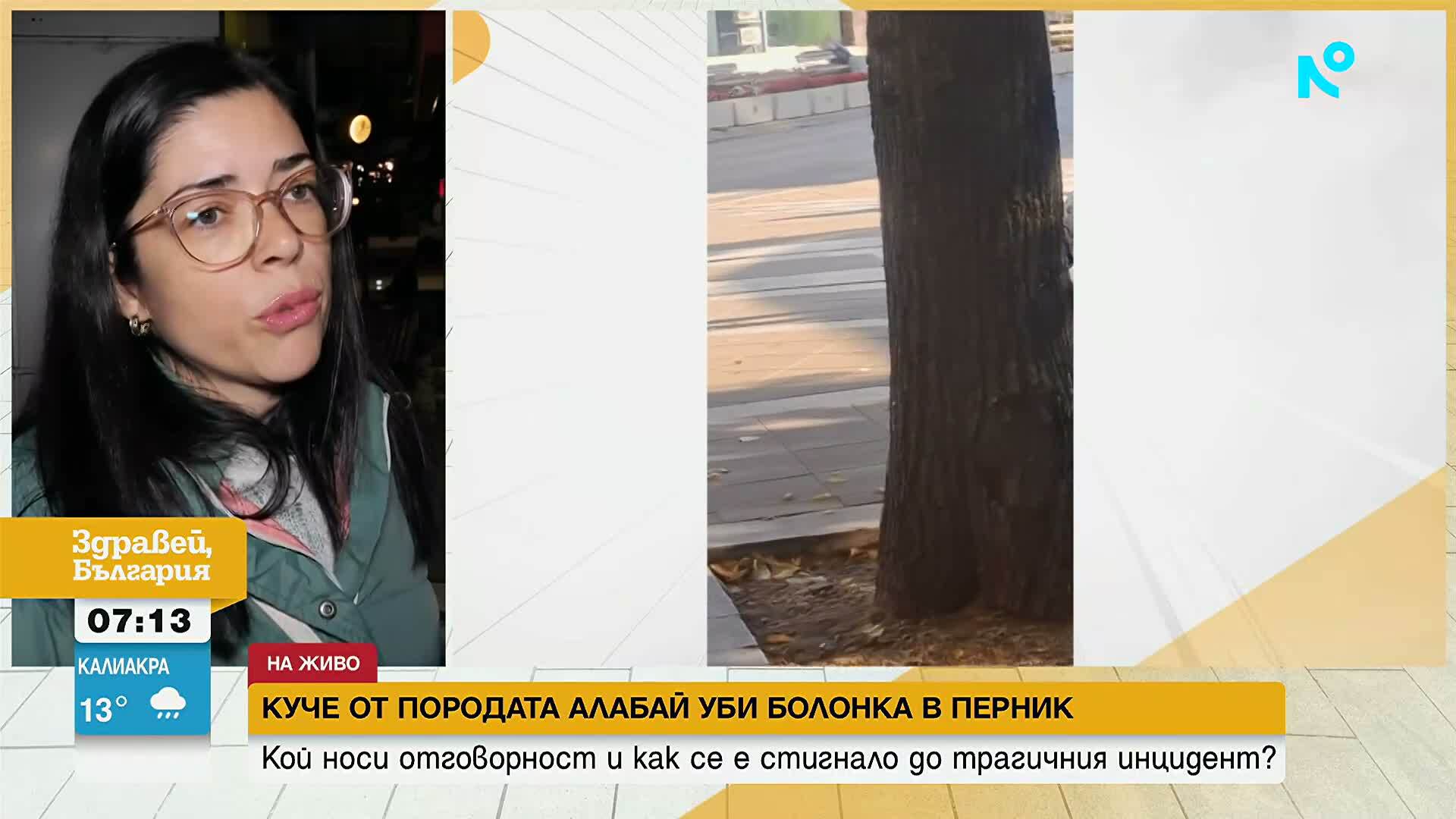 Огромен алабай нападна друго куче в Перник