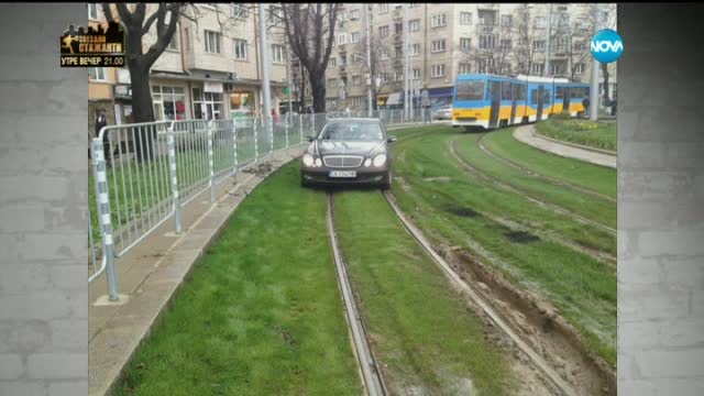 "Моята новина": Крава в пясъчника