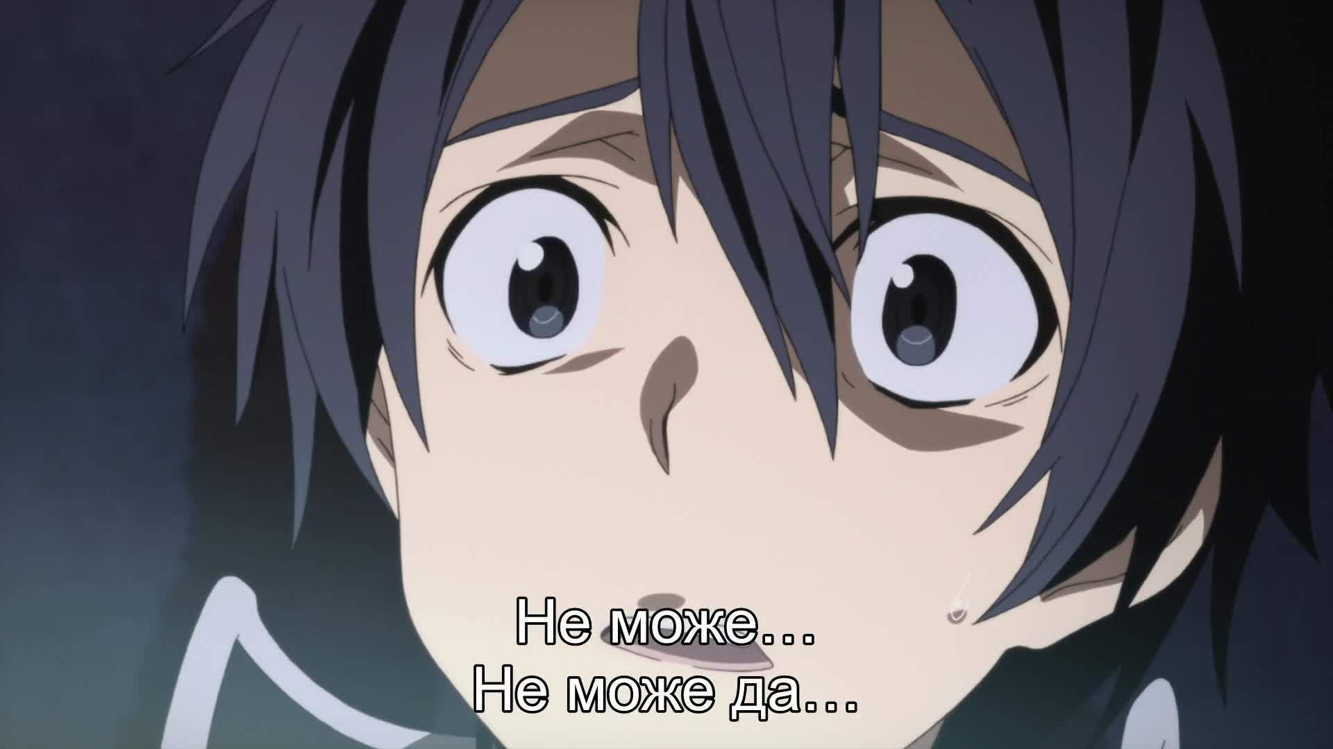 [ Bg Subs ] Sword Art Online - 14 [ Sugoi Fan Subs ]