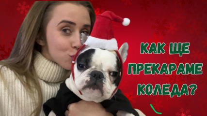 Как ще прекарат Коледa Джули Марули и Съни?