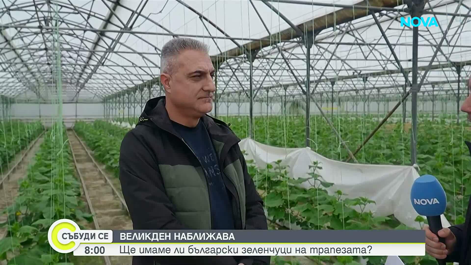 Ще има ли български зеленчуци на трапезата тази пролет