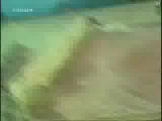 Very Funny Video Clips 2
