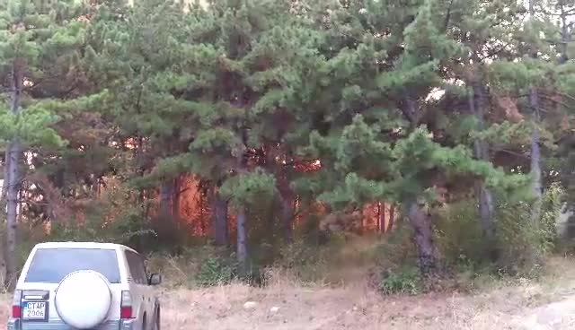 Пожар над стадион „Берое“
