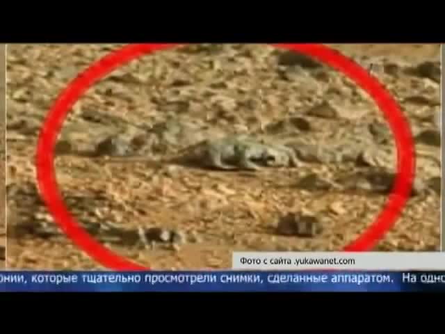 Няма да повярвате какво живее на планетата Марс!