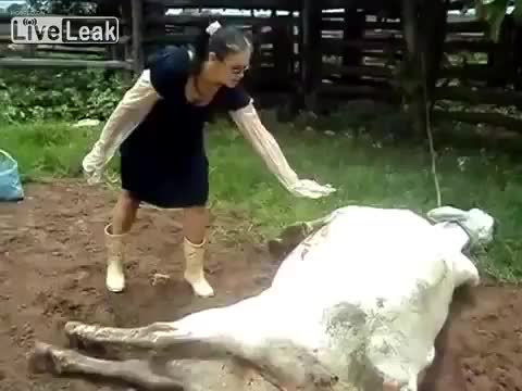 Тази крава изби зъбите на лелката ! Дали боли ? Headshot ! Смях