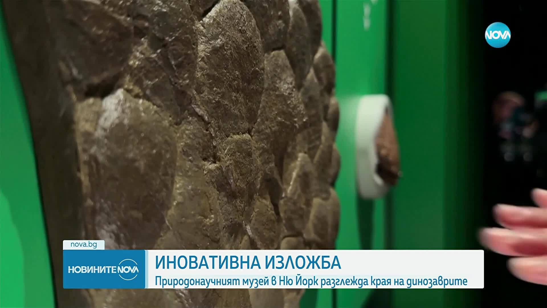 Природонаучният музей в Ню Йорк откри изложба, посветена на края на динозаврите
