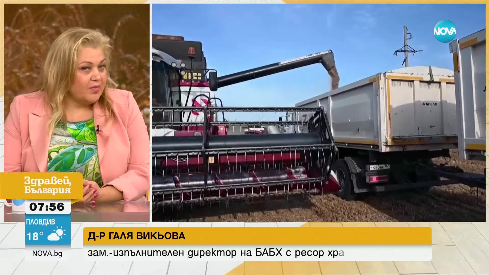 БАБХ: Няма засечени тежки метали в пшеницата от Украйна