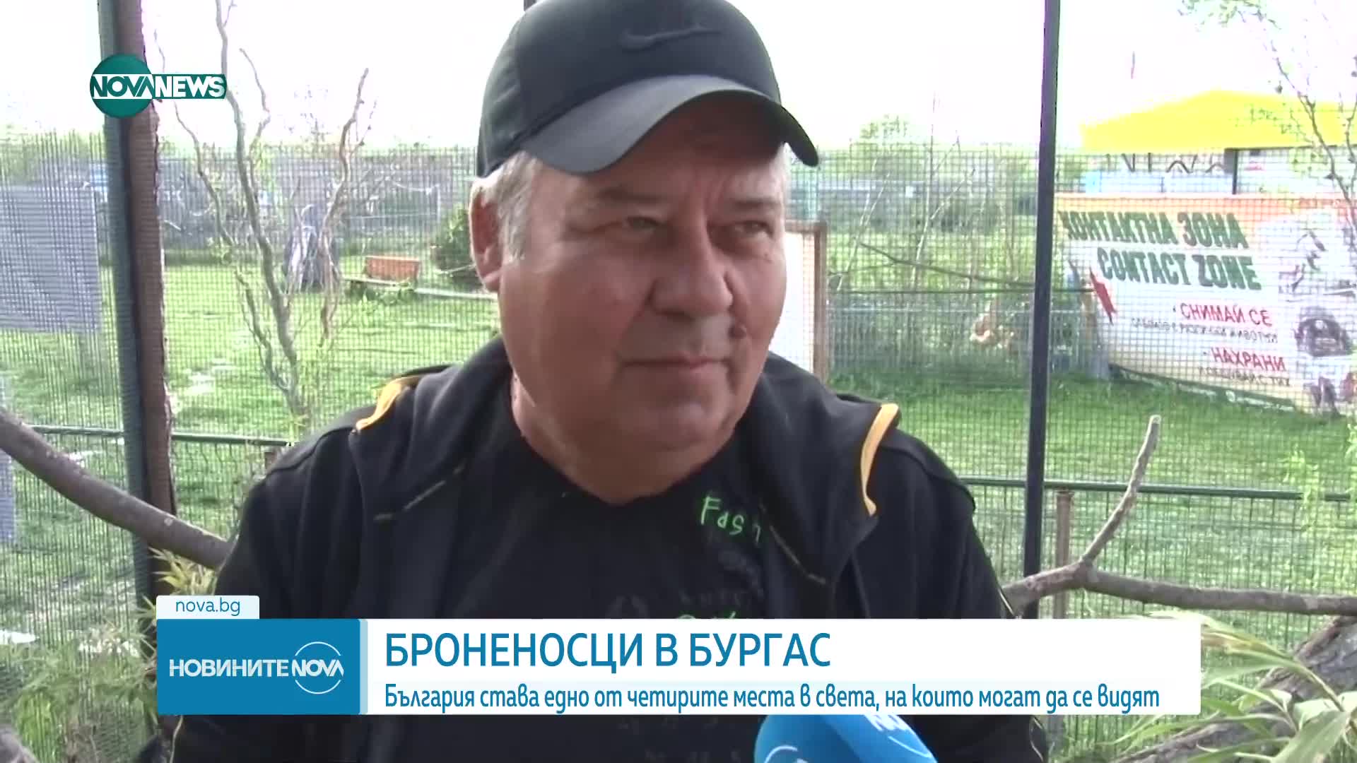 Как се чувстват в Бургас единствените от вида си у нас броненосци (ВИДЕО)