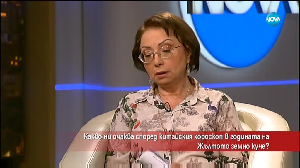 Какво ни очаква в годината на Жълтото земно куче?