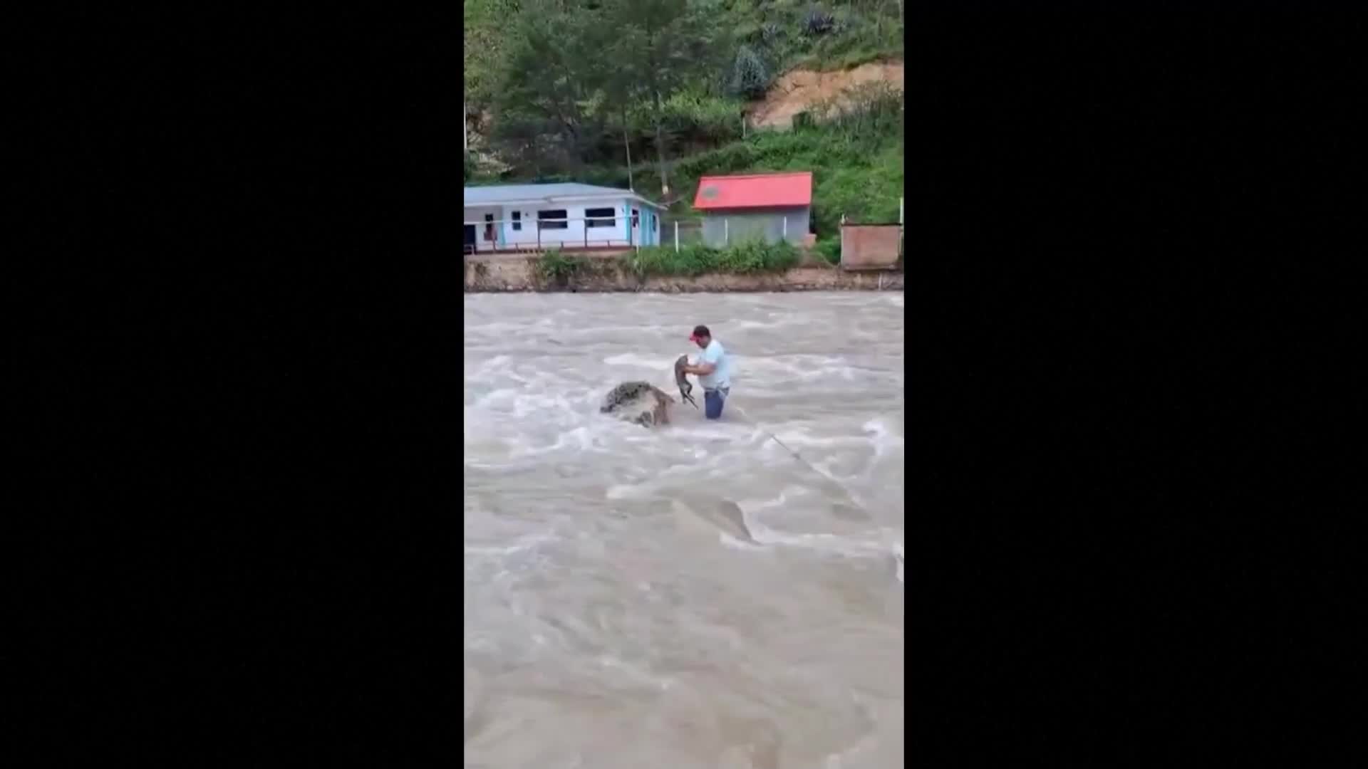 С риск за живота си: Мъж се хвърли в бурна река, за да спаси коте (ВИДЕО)