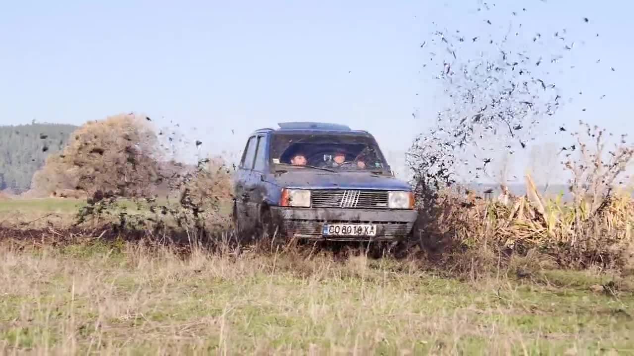 Простотии с Panda на село - 34 коня и 2 магарета