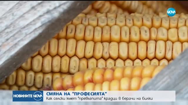 Новините на NOVA (16.09.2017 - обедна емисия)