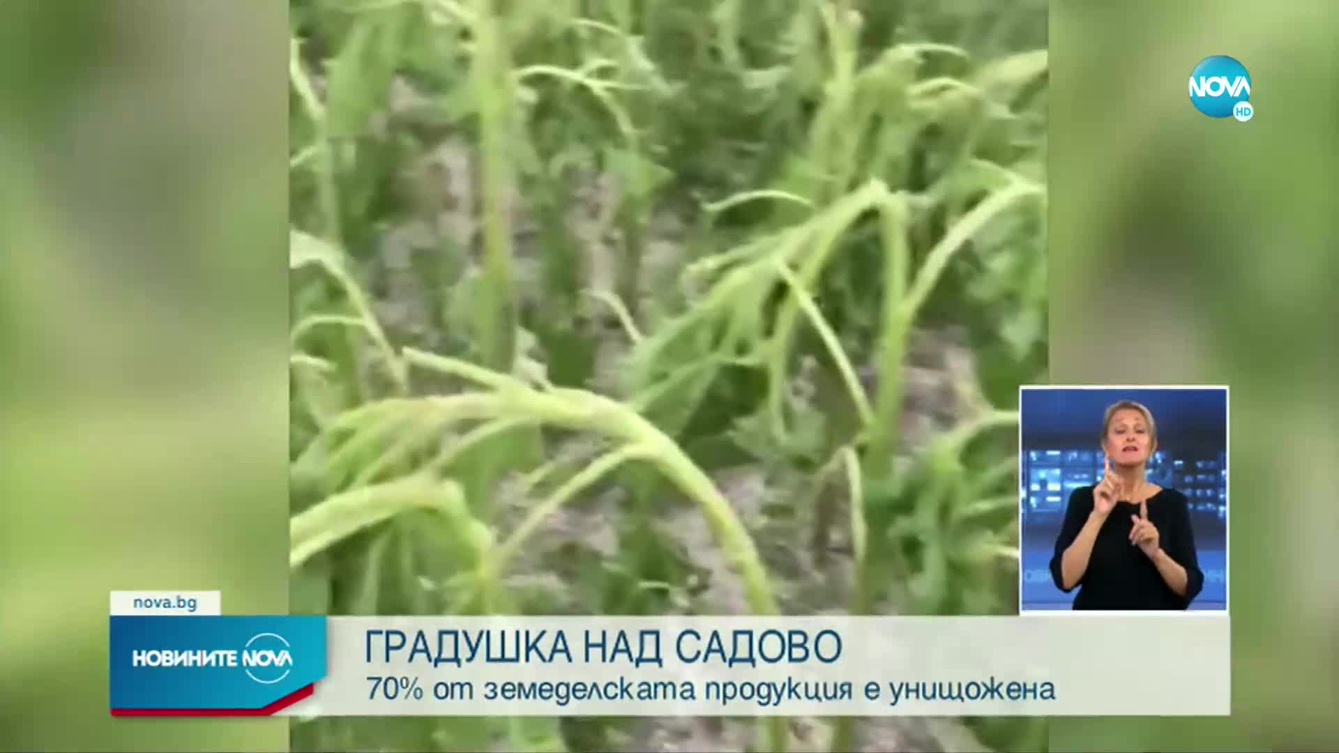 Новините на NOVA (31.05.2022 - лятна късна емисия)