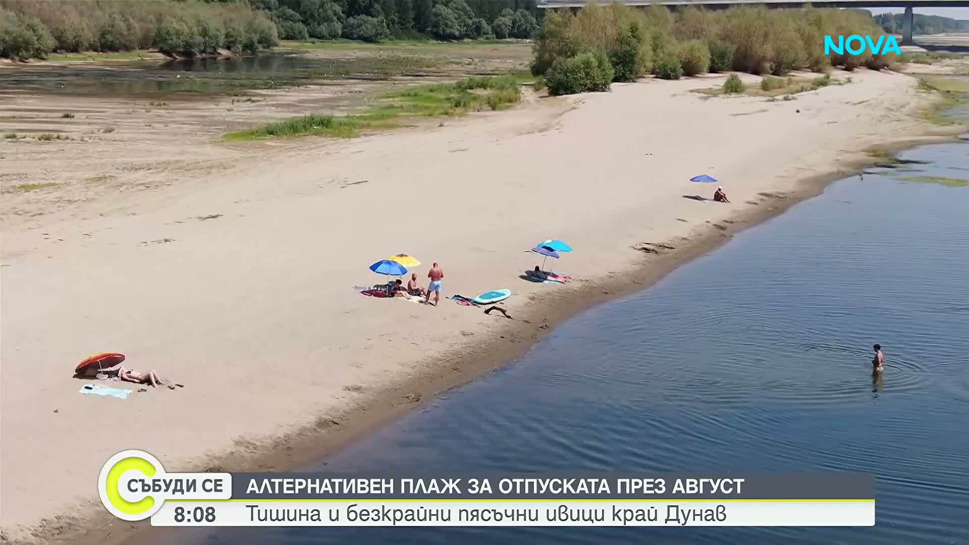 Рекордно ниското ниво на Дунав край Видин разкри необичайни плажове