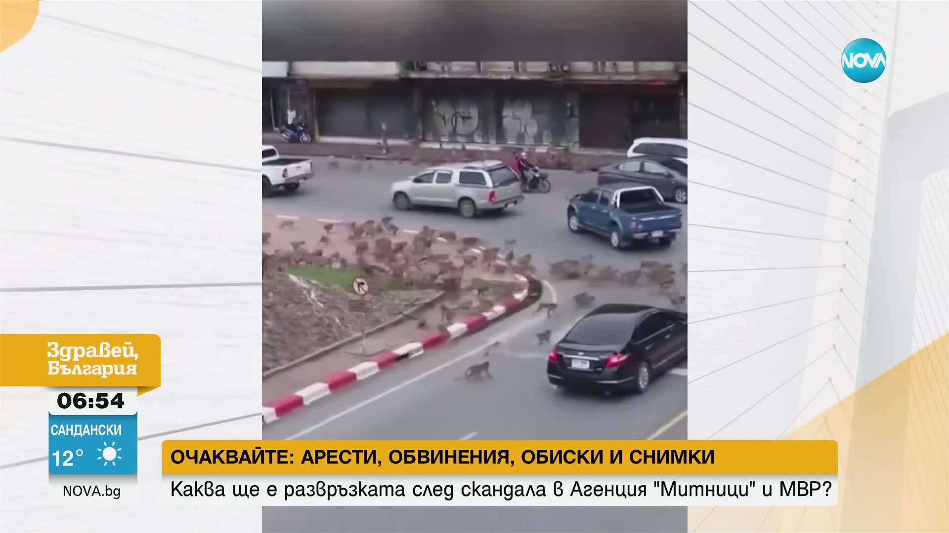Маймунски бой: Стотици макаци се сбиха в Тайланд