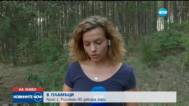 Пожарът край Росоман, който бе локализиран, отново се разгоря