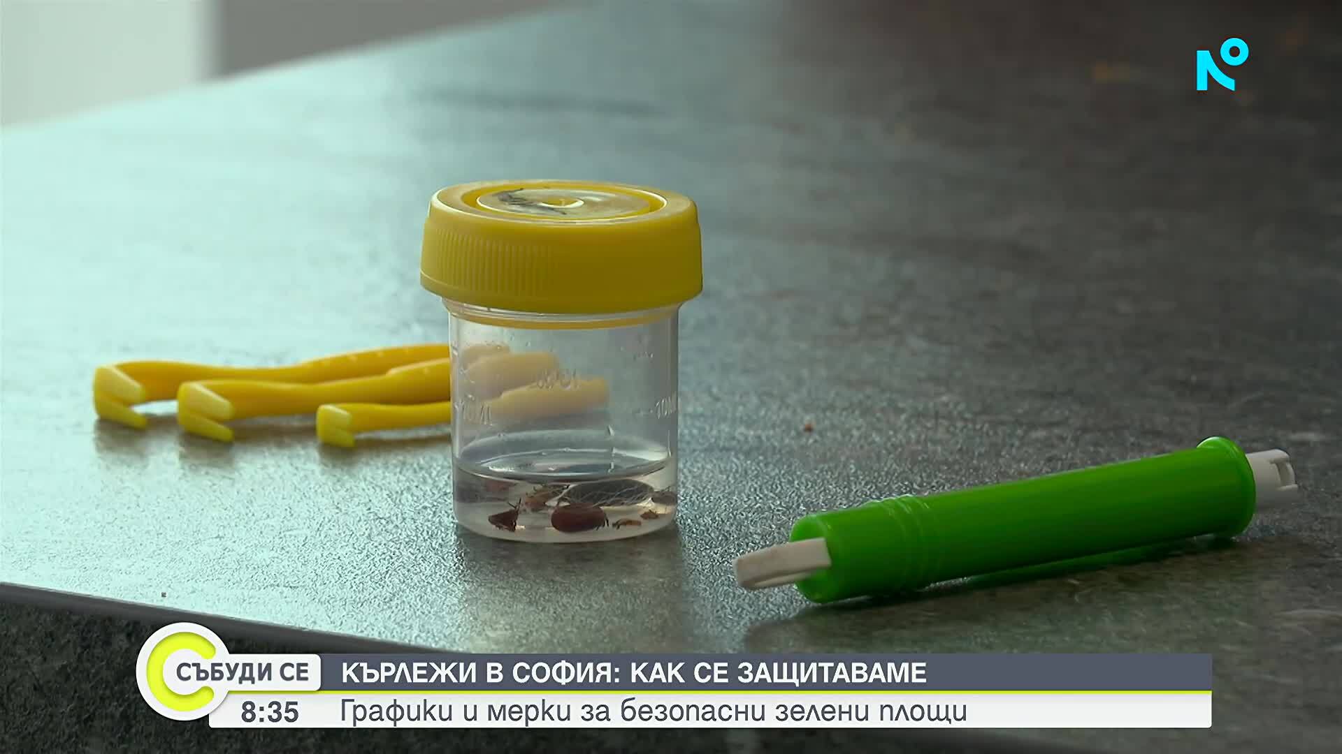 Кърлежите в парковете: Опасност и превенция