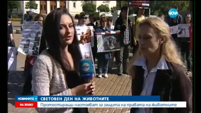 Протест по случай Световния ден на животните