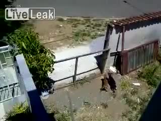 Една ограда не може да спре любовта