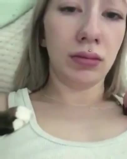 Котка нежно търси милувка от стопанката си