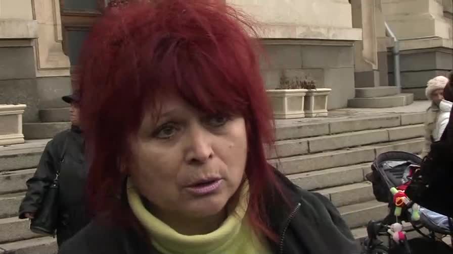 Цветан Димитров: Бездомните животни няма да се евтаназират