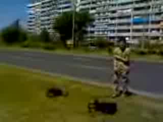 Луди Пъпеши