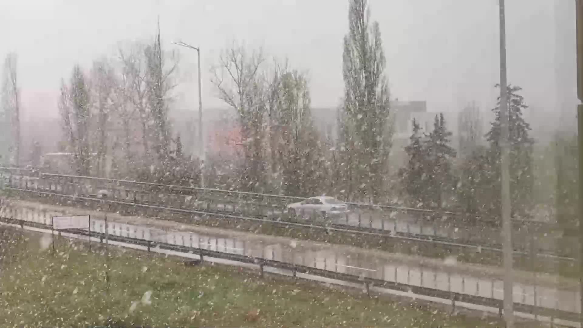 От "Моята новина": Сняг вали в София
