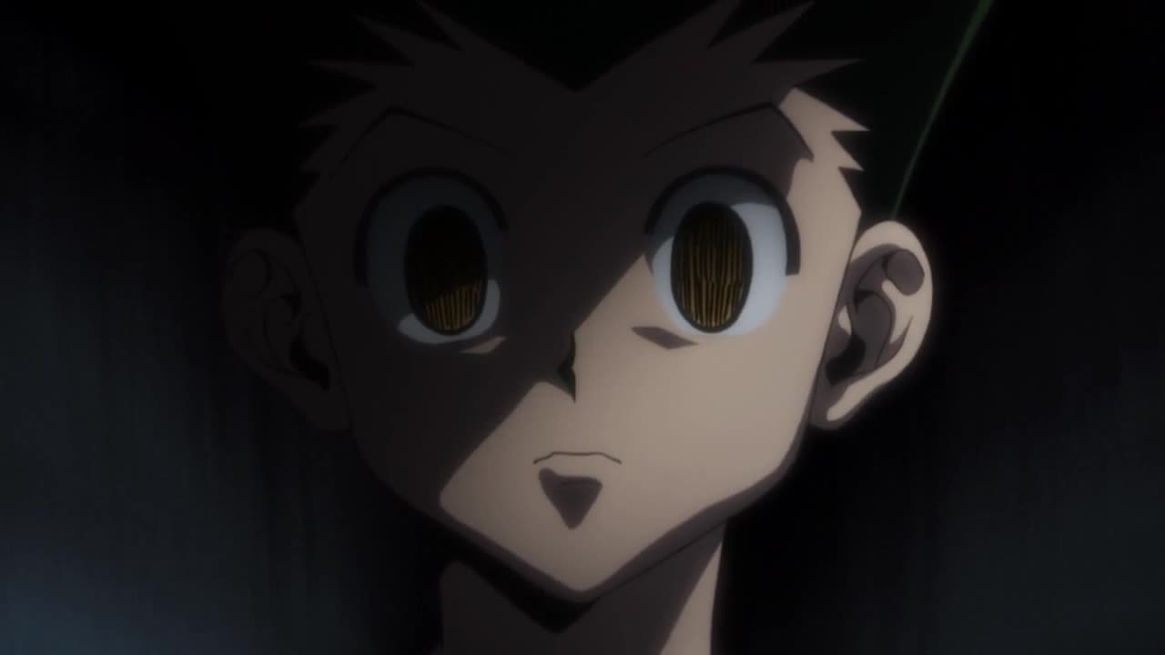 download hunter x hunter 2011 episode 116