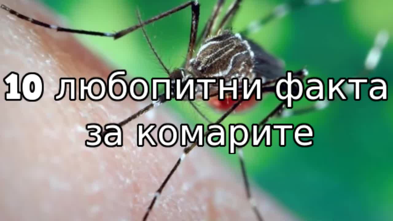 10 любопитни факта за комарите