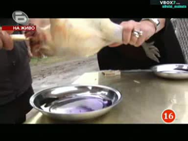 Брутално не е за Хора с Слаби сърца