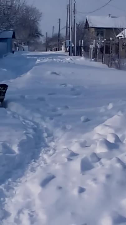 Сняг и почистване