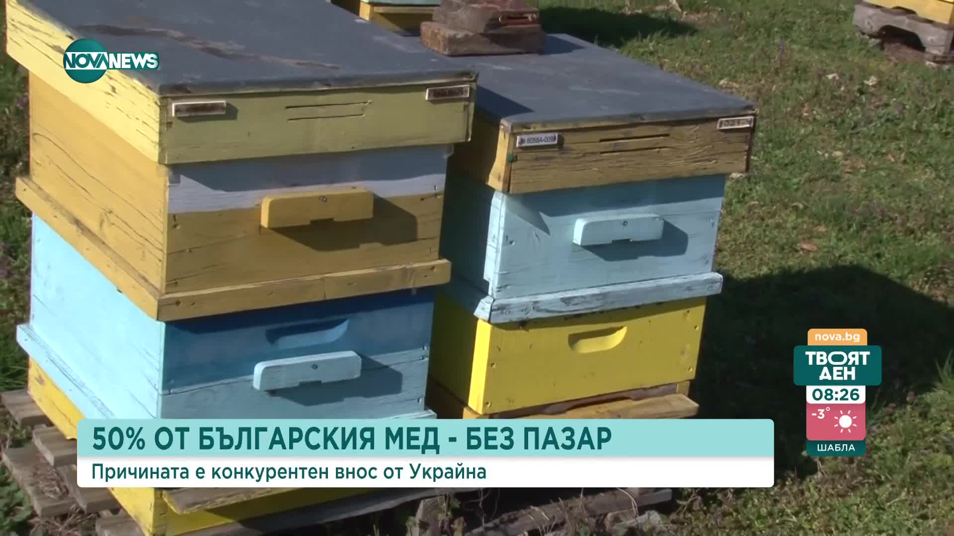 50% от българския мед остава нереализиран