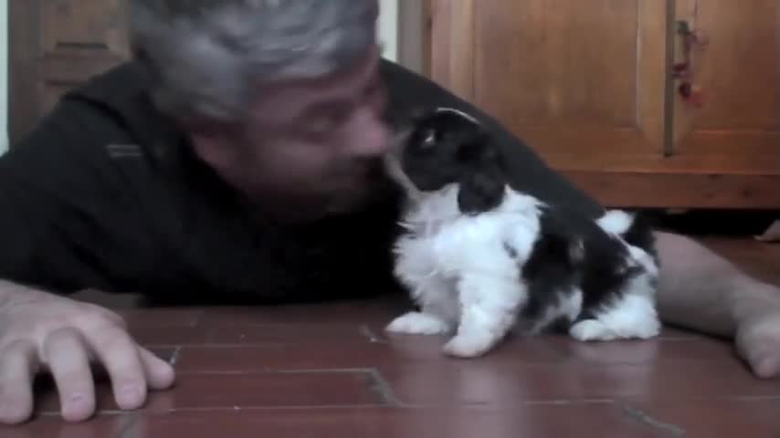 Едно невероятно и мило видео