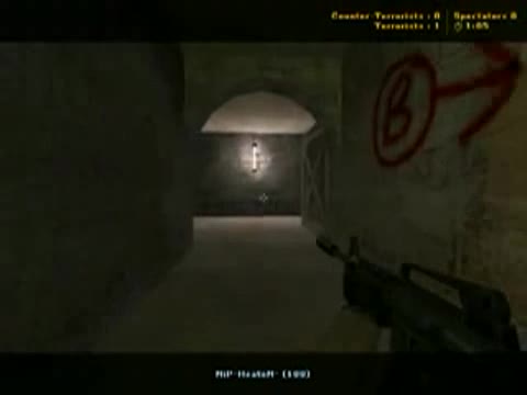 Counter - Strike Heaton Style