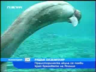 Рядък Вид Акула