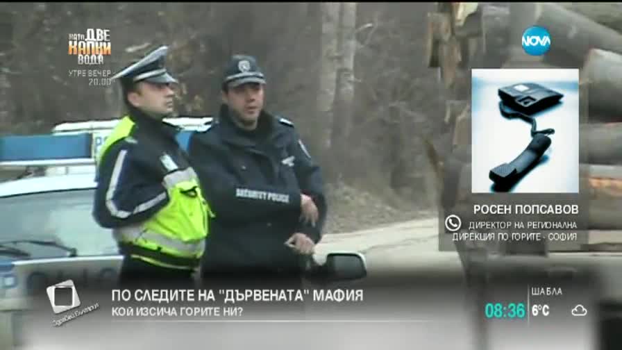 По следите на "дървената" мафия ( 2- Част)