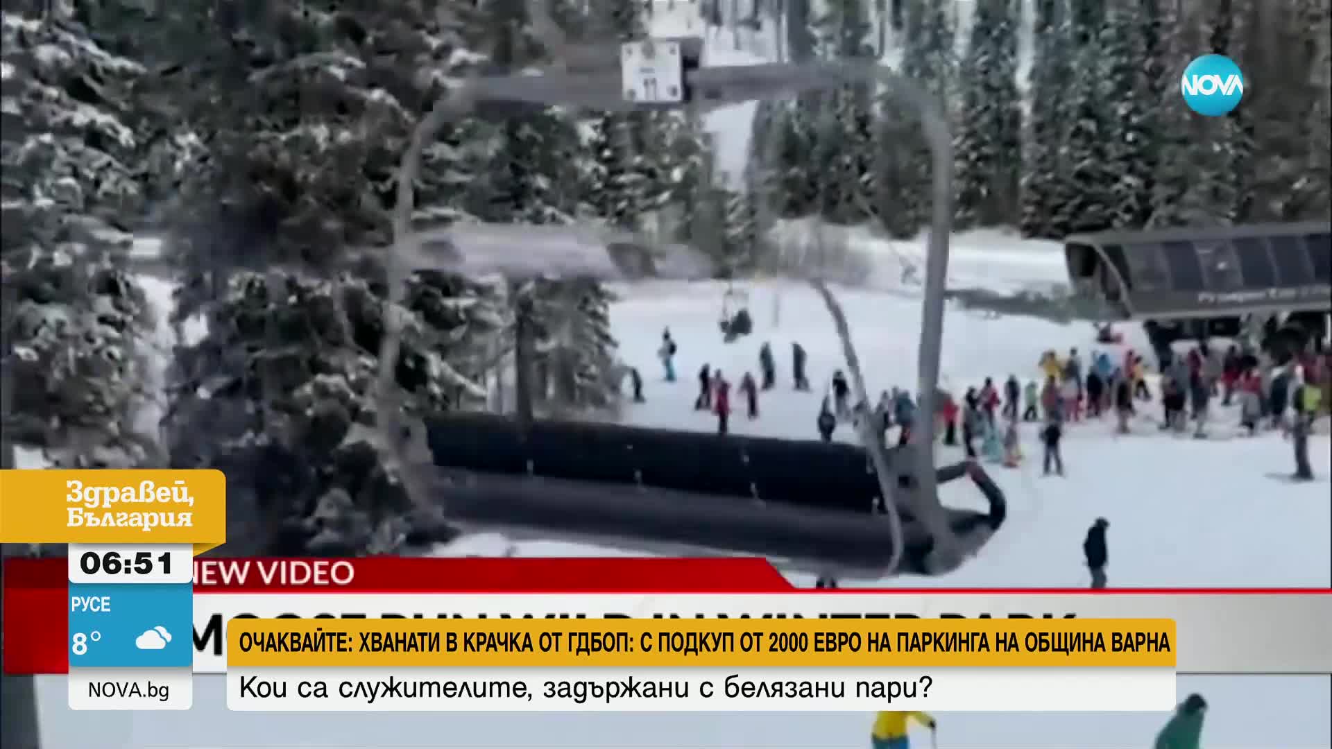 Дружелюбен лос изненада скиори на писта в Колорадо