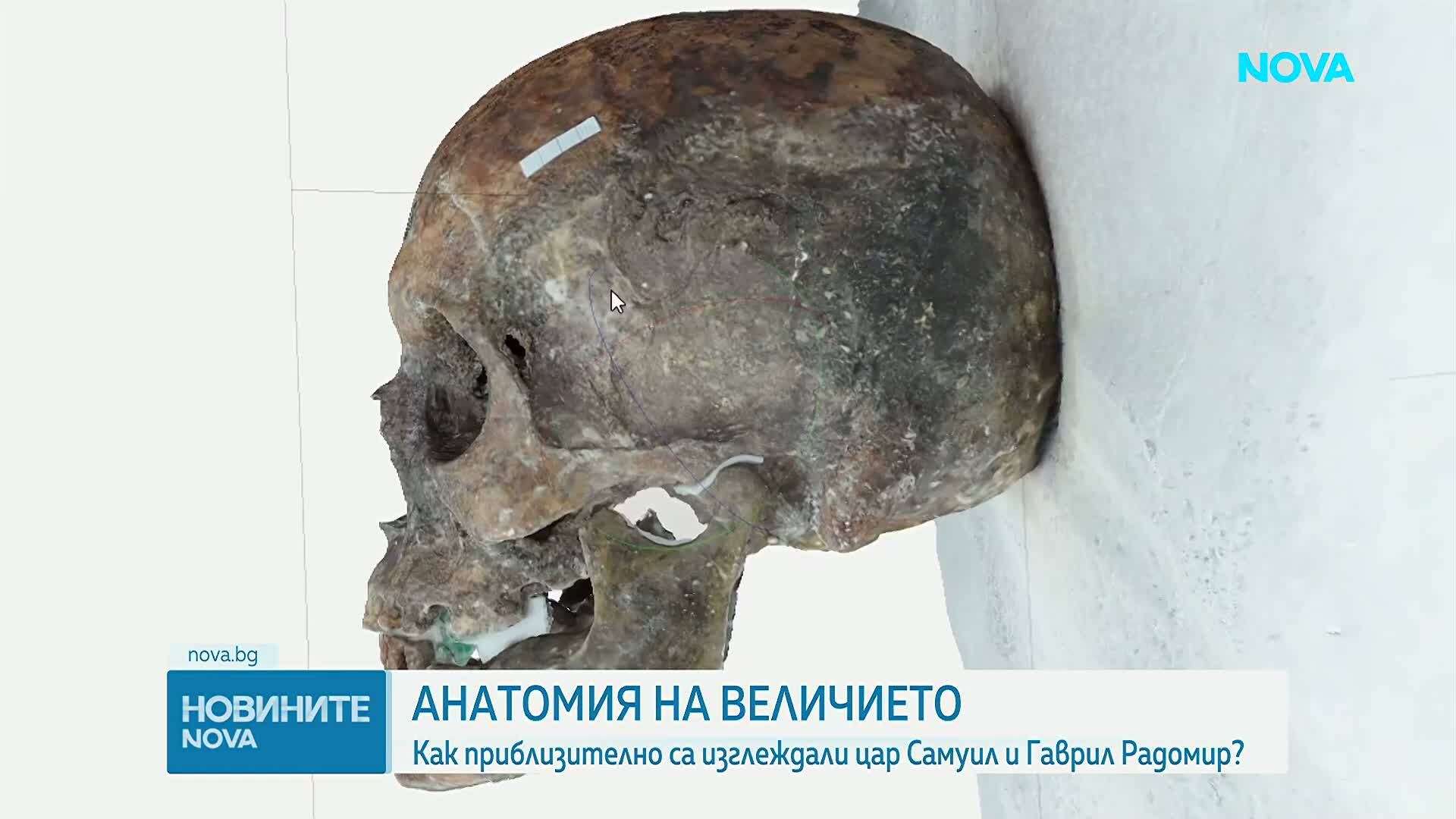 Нови изследвания разкриват колко висок е бил цар Самуил и на каква възраст е починал