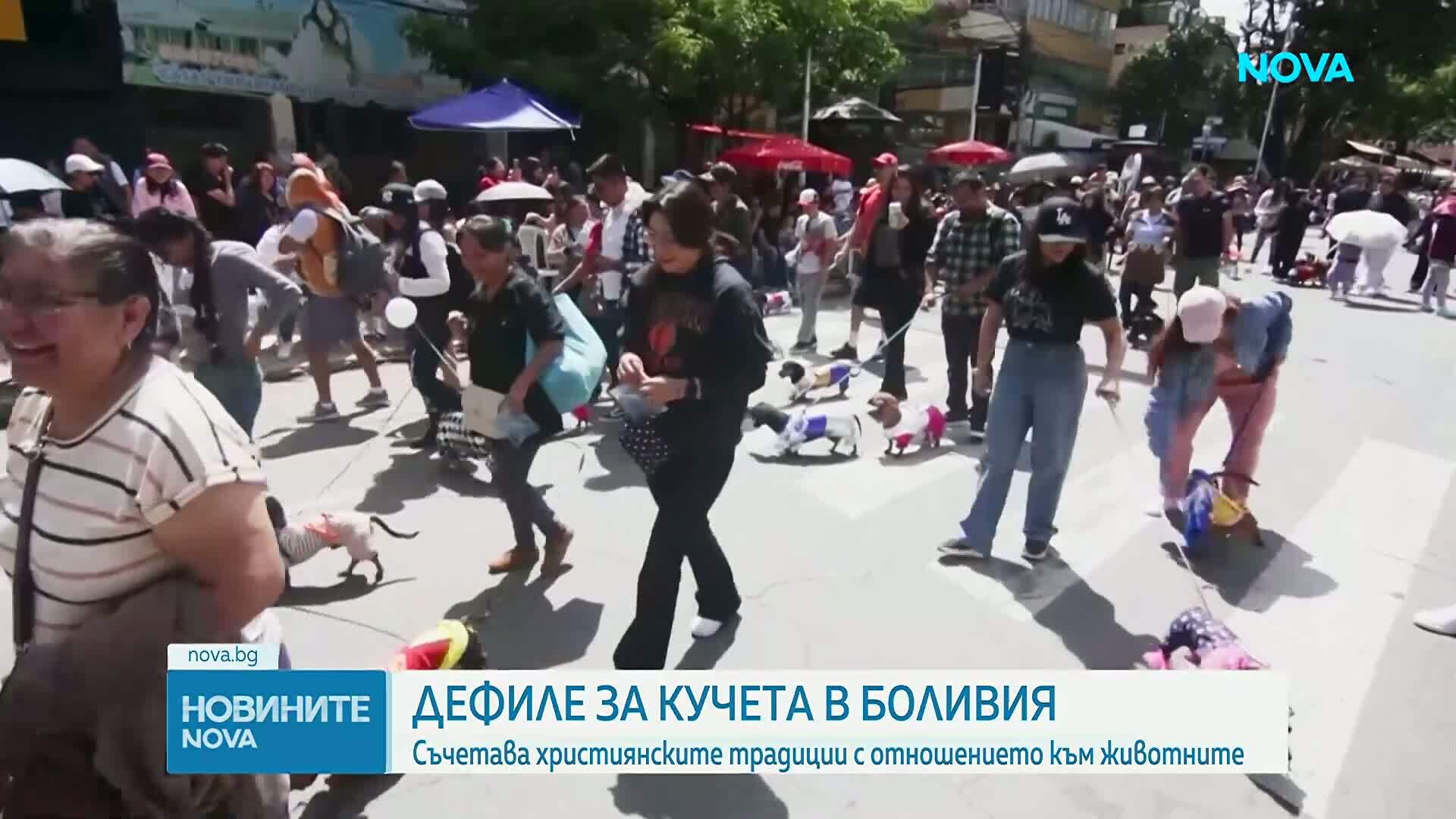 Кучешко дефиле с атрактивни костюми се състоя в Боливия