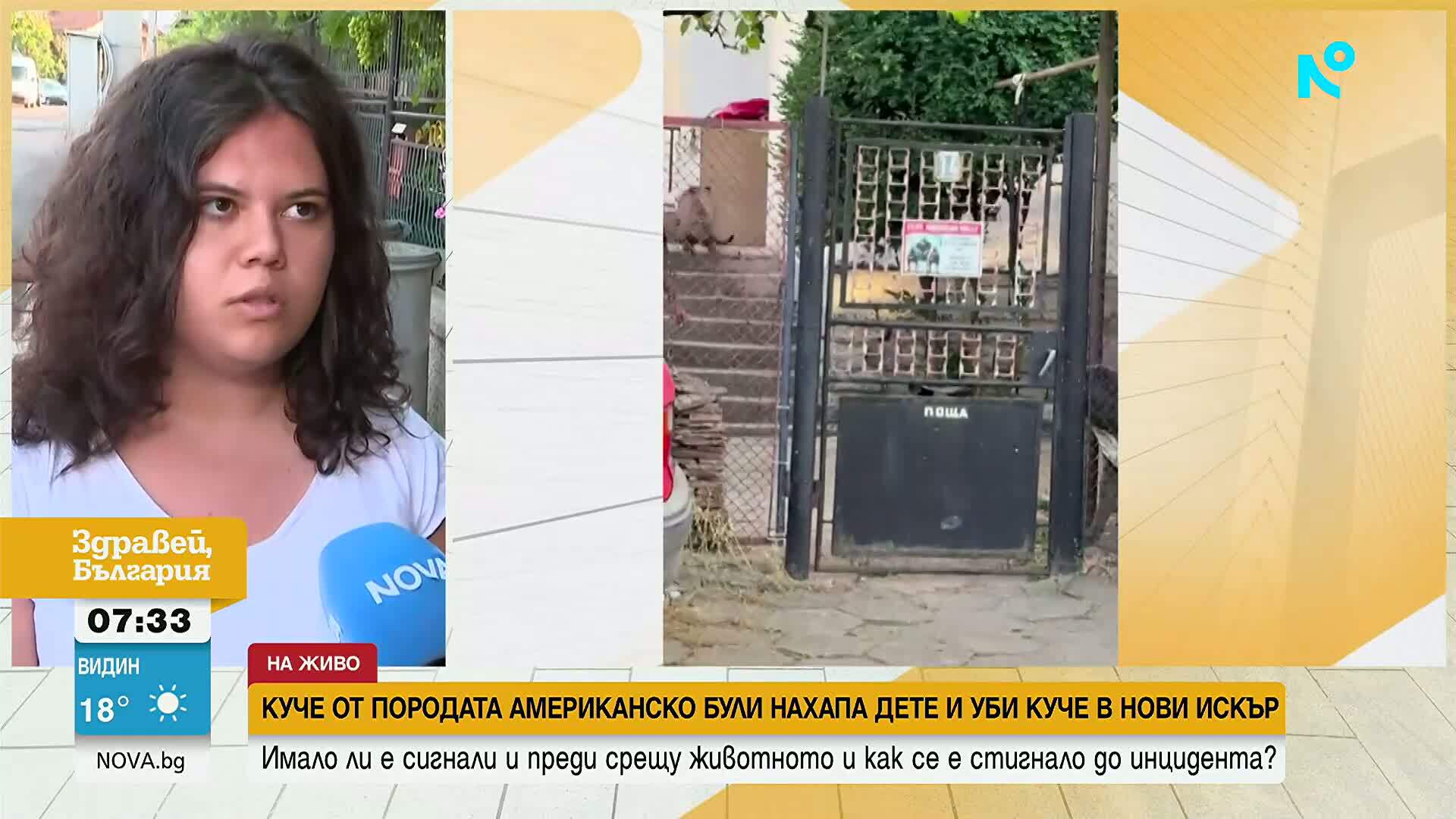Куче от породата американско були нахапа дете и уби куче в Нови Искър
