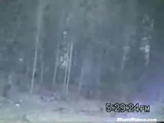 Доста Тъпо