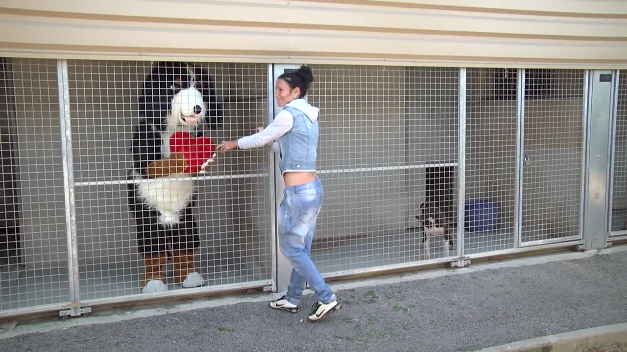 Кучето Remi Gaillard много смях