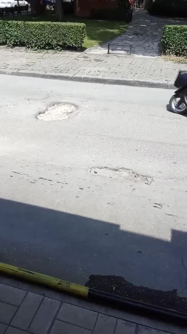 Дупките на Варна