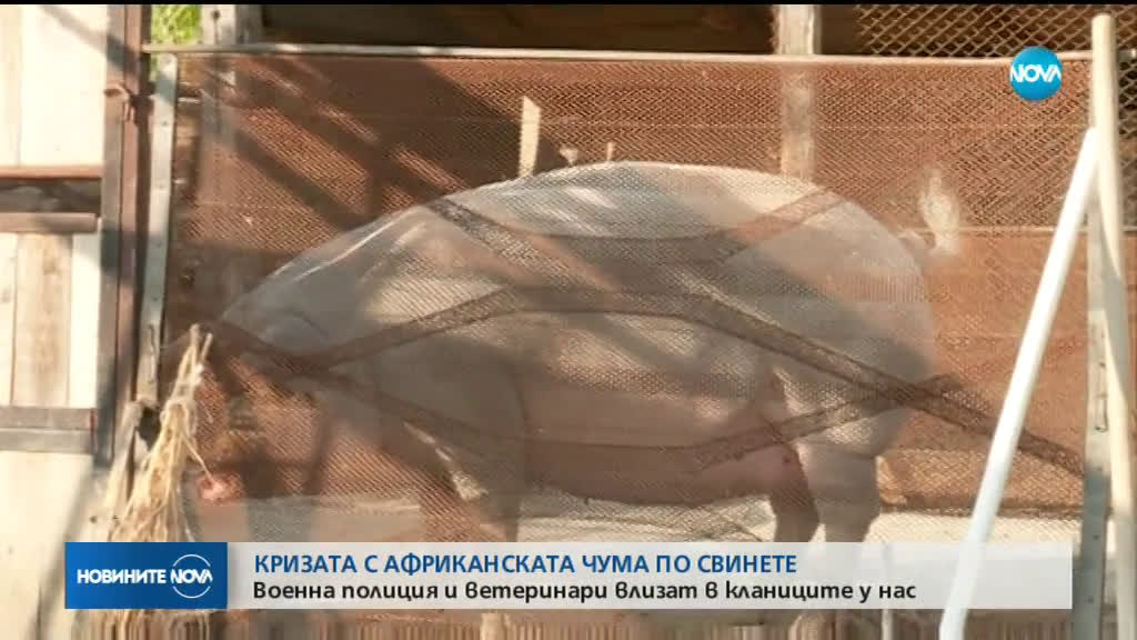 Новините на NOVA (29.07.2019 - следобедна емисия)